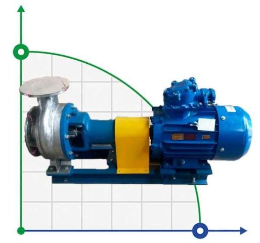 Насос бражной колонны BTS 300/20 VTBO EX