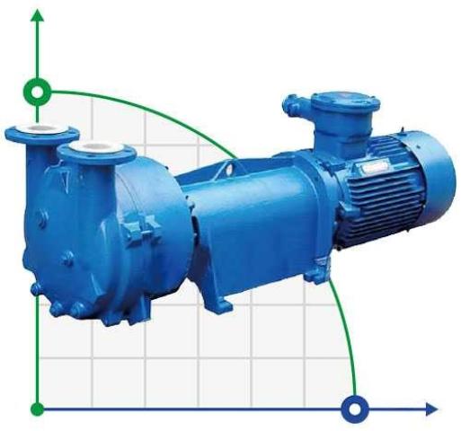 2BV6131 вакуум-насос