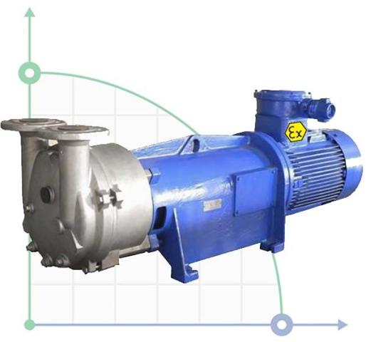 2BV6121, AISI 316, Ех взрывозащищенный вакуумный насос