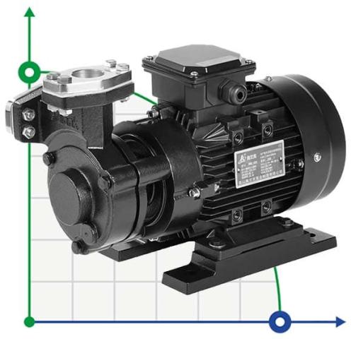 Вихревой масляный насос WM-30N, 380V, -30°C+200°C