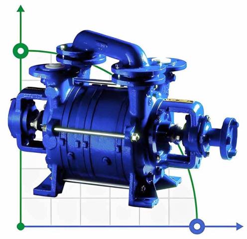 Вакуумный насос PW.4.21.1.1100.1 без двигателя, рамы и муфты