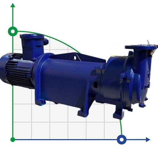 2BV5131 Ex вакуумный насос взрывозащищенный