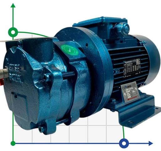 Вакуум-насос для сушки ESV 115/30, 25 м3/ч, 0,75 кВт, 3000 об/мин
