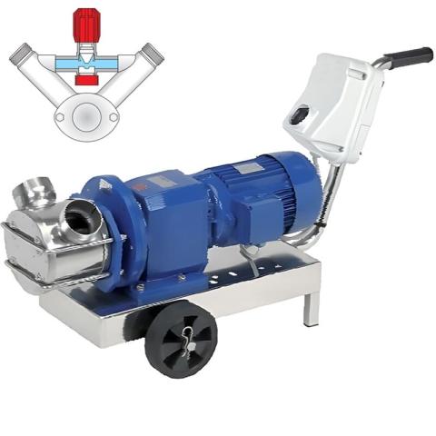 Импеллерный насос LIVERANI RID MINOR 40 +BY-PASS NR TF 2,2-1,5 кВт, 700-350 об/мин, 380В с редуктором, на тележке со стандартной панелью управления