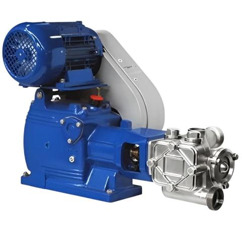 Однопоршневой насос двойного действия POMPA S75 Inox AISI 316 4 м3/ч для подачи осадка на фильтрацию в виноделии