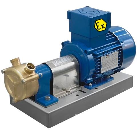 Вихревой насос для морского сектора LIVERANI GR ADPE SPECIAL 20, 29 л/мин, TF 0,25 кВт, 2800 об/мин, 380В, Ex, бронза