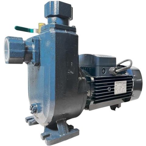 Насос самовсасывающий BXZm 15-30-1,5kW, 2900, 220V, imp:AISI 304