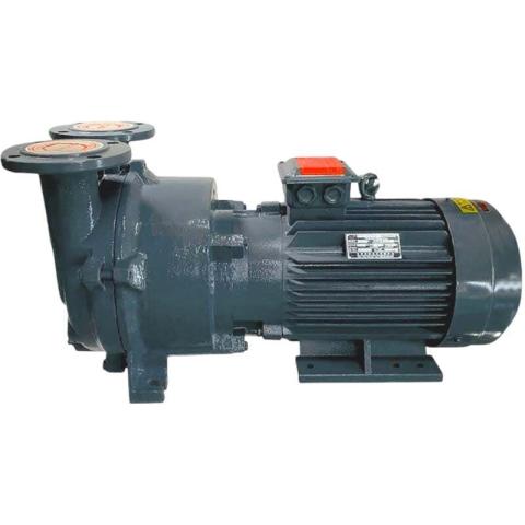 Вакуумный насос 2BV5121 (AISI 316)