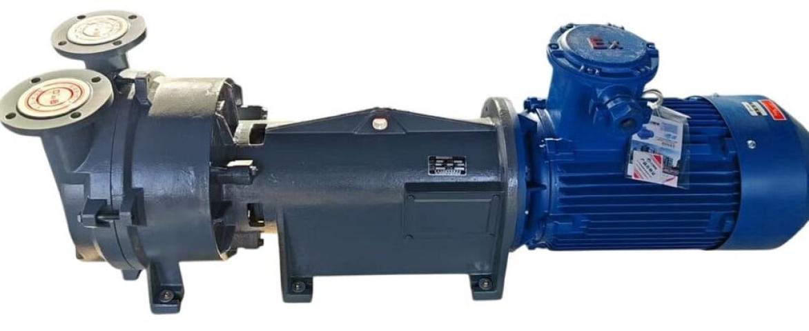Вакуумный насос 2BV6161 Ex (AISI 316), длинная база